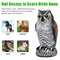 Realistic Owl Decoy Protect Garden Yard Pest Repellent Birds Scarecrow Outdoor